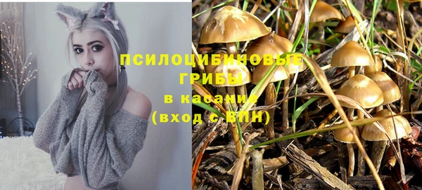 мескалин Абинск