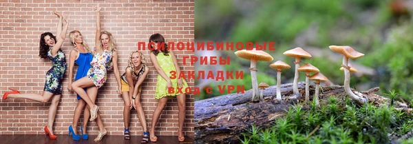 стафф Абдулино