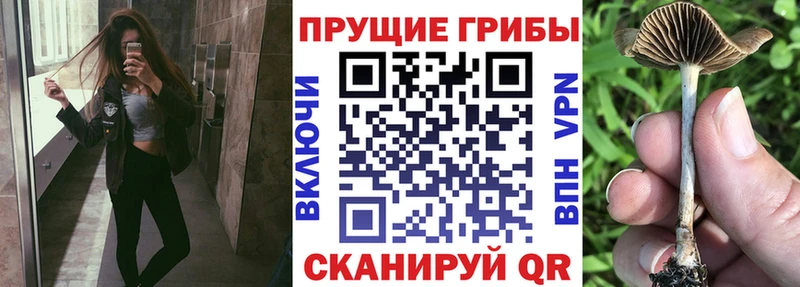 Псилоцибиновые грибы Magic Shrooms  Киржач 