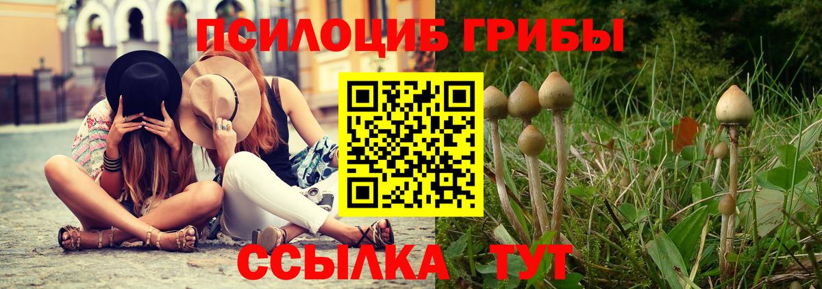 дарнет шоп  Вход с VPN  Киржач  Псилоцибиновые грибы MAGIC MUSHROOMS  Галлюциногенные грибы мицелий 