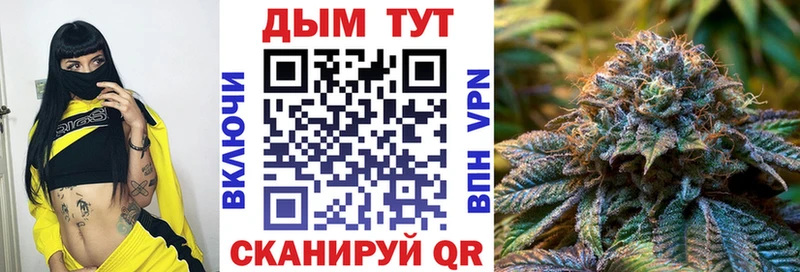 Марихуана планчик  как найти   Киржач 